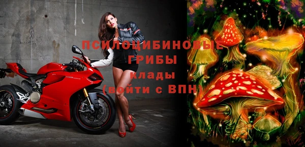 бошки Сатка