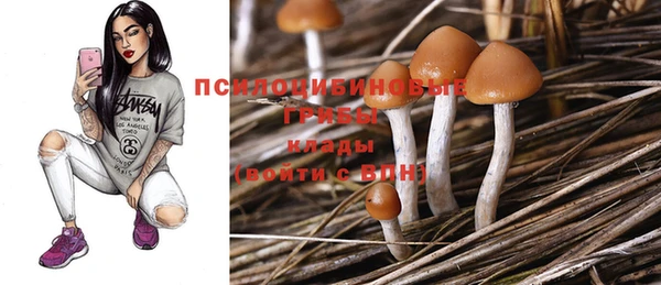 молекула духа Сафоново
