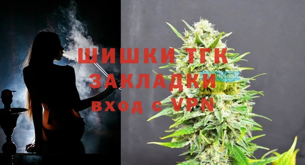 бошки Сатка