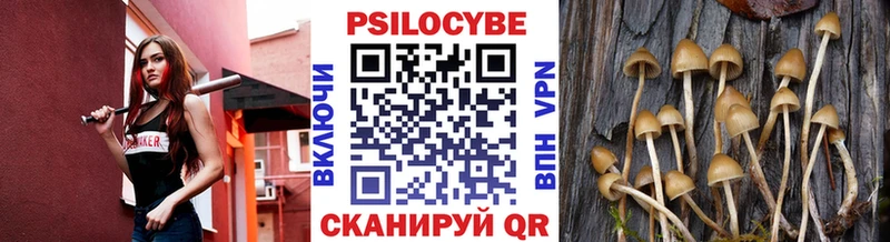 где купить наркоту  MEGA вход  Галлюциногенные грибы GOLDEN TEACHER  Троицк 